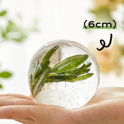 Round Ice Ball Maker Mold | BPA Free